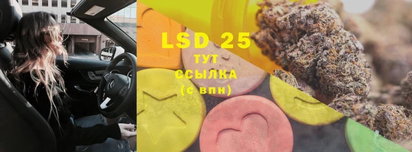 дурь Пестово