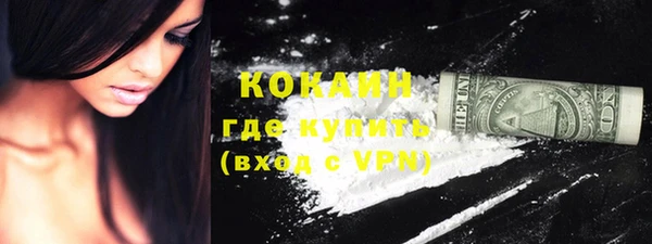 дурь Пестово