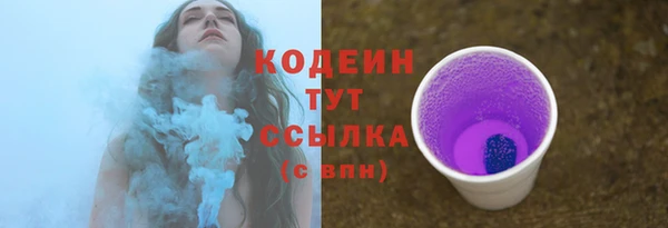 ГАЛЛЮЦИНОГЕННЫЕ ГРИБЫ Переславль-Залесский